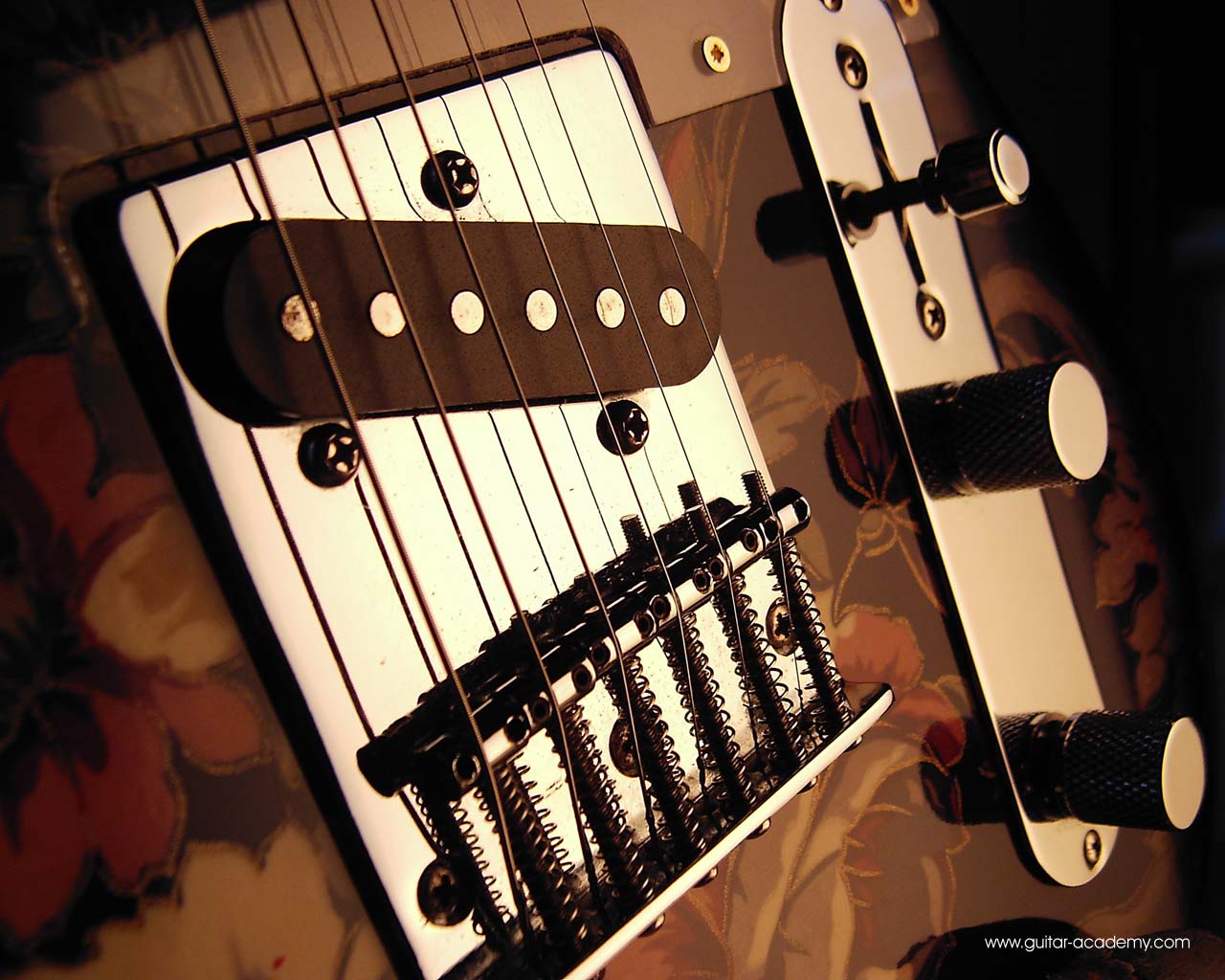 Guitar wallpaper, Fender telecaster floral style electric guitar arty photo