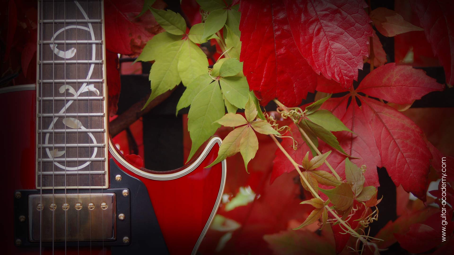 Les Paul electric guitar in autumn leaves